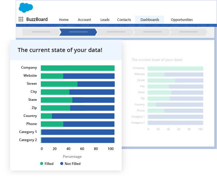 Analyze and Update Your Salesforce Database Instantly